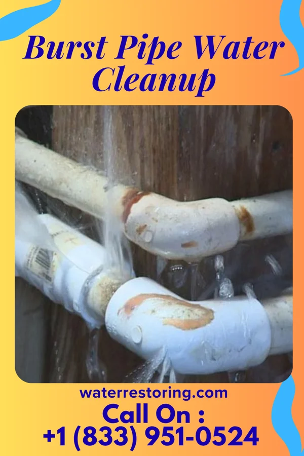 Burst Pipe Water Cleanup in Stockbridge, MI