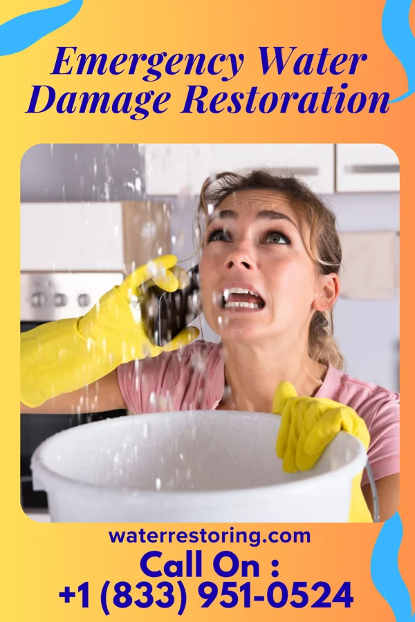 Emergency Water Damage Restoration in Stockbridge, MI