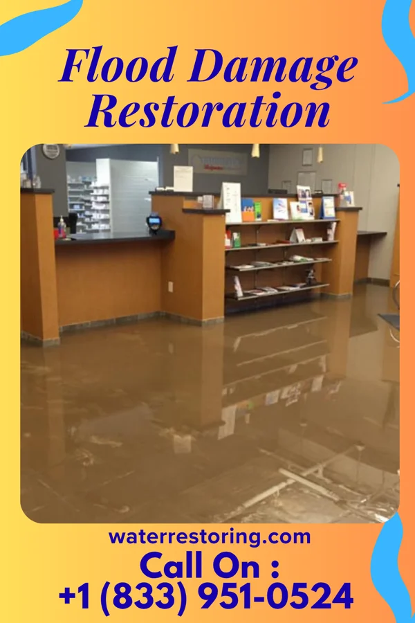 Flood Damage Restoration in Stockbridge, MI