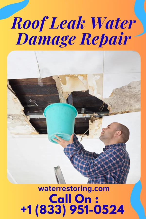 Roof Leak Water Damage Repair in Stockbridge, MI