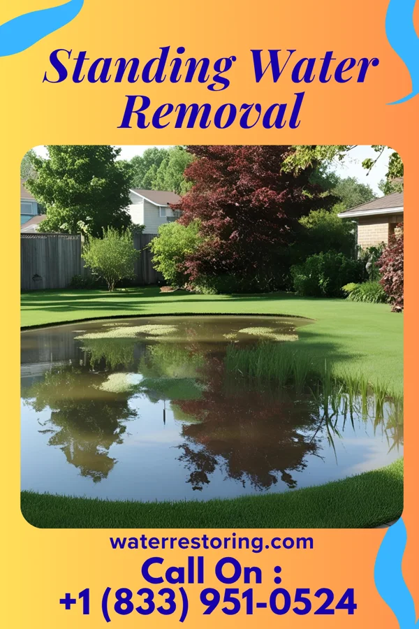 Standing Water Removal in Stockbridge, MI